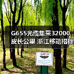 G655光缆集采32000皮长公里 浙江移动招标规模揭秘(图4) G655光缆集采32000皮长公里 浙江移动招标规模揭秘(图4)