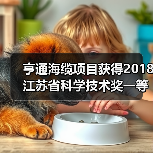 亨通海缆项目获得2018江苏省科学技术奖一等奖(图3) 亨通海缆项目获得2018江苏省科学技术奖一等奖(图3)