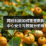 网络智能如何重塑数据中心安全与数据分析格局?(图4) 网络智能如何重塑数据中心安全与数据分析格局?(图4)