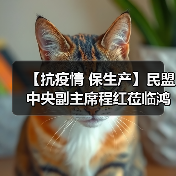 【抗疫情 保生产】民盟中央副主席程红莅临鸿远电子调研疫情防控和复工复产情况(图4) 【抗疫情 保生产】民盟中央副主席程红莅临鸿远电子调研疫情防控和复工复产情况(图4)
