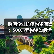 跨国企业抗疫物资保障:500万元物资如何运达国内(图2) 跨国企业抗疫物资保障:500万元物资如何运达国内(图2)