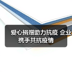 爱心捐赠助力抗疫 企业携手共抗疫情（图3）