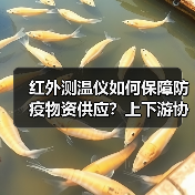 红外测温仪如何保障防疫物资供应?上下游协同应对疫情(图1) 红外测温仪如何保障防疫物资供应?上下游协同应对疫情(图1)