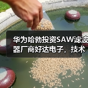 华为哈勃投资SAW滤波器厂商好达电子，技术实力解析（图2）