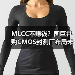 MLCC不赚钱？国巨并购CMOS封测厂布局未来（图1）