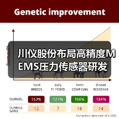 川仪股份布局高精度MEMS压力传感器研发（图1）