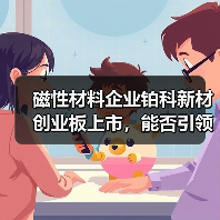 磁性材料企业铂科新材创业板上市，能否引领行业新风？（图3）