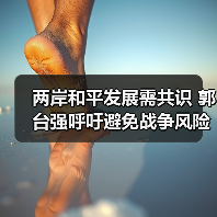 两岸和平发展需共识 郭台强呼吁避免战争风险（图3）