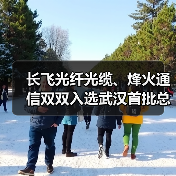 长飞光纤光缆、烽火通信双双入选武汉首批总部企业名单（图1）