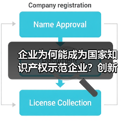 企业为何能成为国家知识产权示范企业？创新实力如何体现？（图4）