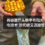 传感器巨头联手布局光电技术 欧司朗艾迈斯整合如何引领行业（图2）