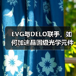 EVG与DELO联手，如何加速晶圆级光学元件与纳米压印技术应用？（图2）