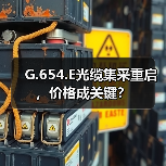 G.654.E光缆集采重启，价格成关键？（图2）