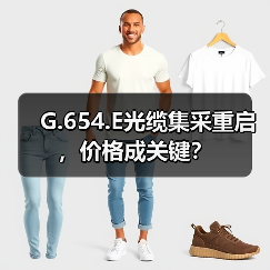 G.654.E光缆集采重启，价格成关键？（图4）
