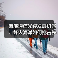 海底通信光缆发展机遇：烽火海洋如何抢占先机？（图2）