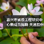 嘉兴市省级工程研究中心新成员揭晓 天通股份与桐昆集团上榜（图2）