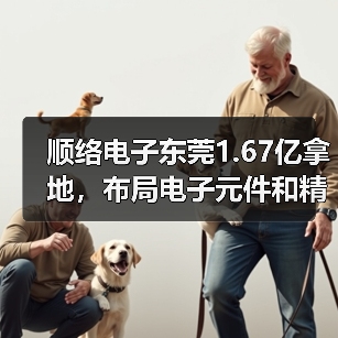顺络电子东莞1.67亿拿地，布局电子元件和精密陶瓷项目（图1）