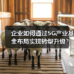 企业如何通过5G产业基金布局实现转型升级？（图4）