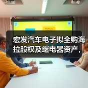 宏发汽车电子拟全购海拉股权及继电器资产,布局智能出行(图3) 宏发汽车电子拟全购海拉股权及继电器资产,布局智能出行(图3)