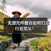无源元件整合如何打造行业龙头?(图1) 无源元件整合如何打造行业龙头?(图1)