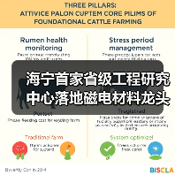 海宁首家省级工程研究中心落地磁电材料龙头(图2) 海宁首家省级工程研究中心落地磁电材料龙头(图2)