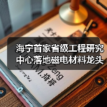 海宁首家省级工程研究中心落地磁电材料龙头(图1) 海宁首家省级工程研究中心落地磁电材料龙头(图1)