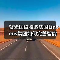 紫光国微收购法国Linxens集团如何完善智能安全芯片产业链？（图4）