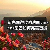 紫光国微收购法国Linxens集团如何完善智能安全芯片产业链？（图3）
