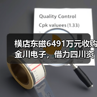 横店东磁6491万元收购金川电子，借力四川资源扩张磁性材料市场（图1）