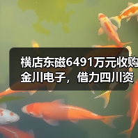 横店东磁6491万元收购金川电子，借力四川资源扩张磁性材料市场（图2）