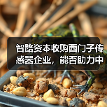 智路资本收购西门子传感器企业,能否助力中国高端传感器突围?(图1) 智路资本收购西门子传感器企业,能否助力中国高端传感器突围?(图1)