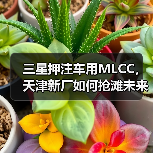 三星押注车用MLCC,天津新厂如何抢滩未来市场?(图3) 三星押注车用MLCC,天津新厂如何抢滩未来市场?(图3)