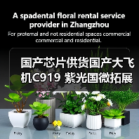 国产芯片供货国产大飞机C919 紫光国微拓展民航市场(图2) 国产芯片供货国产大飞机C919 紫光国微拓展民航市场(图2)