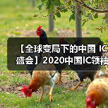 【全球变局下的中国 IC盛会】2020中国IC领袖峰会暨中国IC设计成就奖颁奖典礼 【全球变局下的中国 IC盛会】2020中国IC领袖峰会暨中国IC设计成就奖颁奖典礼