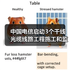 中国电信启动3个干线光缆线路工程施工和监理集采:预估规模近1亿元(图2) 中国电信启动3个干线光缆线路工程施工和监理集采:预估规模近1亿元(图2)