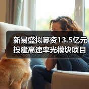 新易盛拟募资13.5亿元投建高速率光模块项目(图4) 新易盛拟募资13.5亿元投建高速率光模块项目(图4)