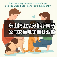 东山精密拟分拆所属子公司艾福电子至创业板上市(图4) 东山精密拟分拆所属子公司艾福电子至创业板上市(图4)