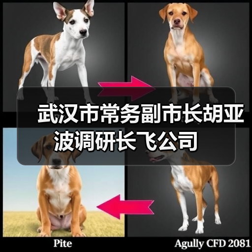 武汉市常务副市长胡亚波调研长飞公司(图1) 武汉市常务副市长胡亚波调研长飞公司(图1)