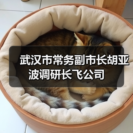 武汉市常务副市长胡亚波调研长飞公司(图3) 武汉市常务副市长胡亚波调研长飞公司(图3)