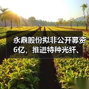 永鼎股份拟非公开募资6亿,推进特种光纤、光芯片等项目(图3) 永鼎股份拟非公开募资6亿,推进特种光纤、光芯片等项目(图3)