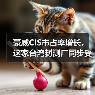 豪威CIS市占率增长,这家台湾封测厂同步受惠(图3) 豪威CIS市占率增长,这家台湾封测厂同步受惠(图3)
