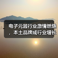 电子元器行业激情燃烧,本土品牌成行业增长引擎(图1) 电子元器行业激情燃烧,本土品牌成行业增长引擎(图1)