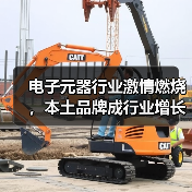 电子元器行业激情燃烧,本土品牌成行业增长引擎(图4) 电子元器行业激情燃烧,本土品牌成行业增长引擎(图4)