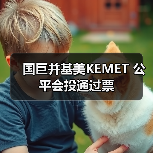 国巨并基美KEMET 公平会投通过票（图2）