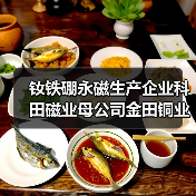 钕铁硼永磁生产企业科田磁业母公司金田铜业上交所主板挂牌上市(图3) 钕铁硼永磁生产企业科田磁业母公司金田铜业上交所主板挂牌上市(图3)