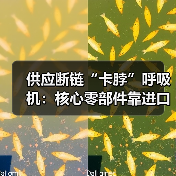 供应断链“卡脖”呼吸机:核心零部件靠进口(图4) 供应断链“卡脖”呼吸机:核心零部件靠进口(图4)