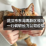 武汉市东湖高新区领导一行调研长飞公司疫情防控和复工复产情况（图4）