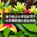 康宁推出业界首款用于长距离网络的超低损耗小直径光纤 康宁推出业界首款用于长距离网络的超低损耗小直径光纤