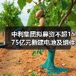 中利集团拟募资不超15.75亿元新建电池及组件生产项目（图2）