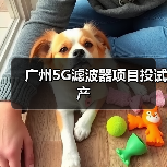 广州5G滤波器项目投试产(图3) 广州5G滤波器项目投试产(图3)